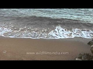 Waves strike the sandy shore!