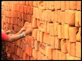 Woman labourer carries bricks on her head in India