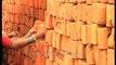 Woman labourer carries bricks on her head in India