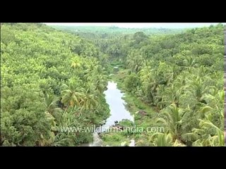 Lush green beauty of the Kerala landscape