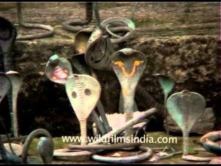Dhabaleswar Temple: Dedicated to Lord Shiva