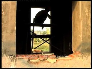 Labourers measuring door at a construction site in Safdarjung hospital