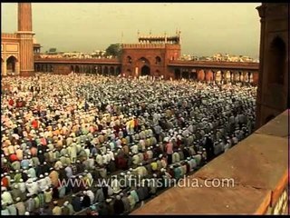 Massive - Over 10,000 people offering prayers at Jama Masjid