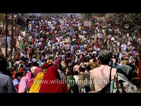 Maha Kumbh Mela: Huge crowd arrives for holy dip on Mauni Amavasya