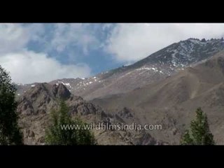 Paradise on Earth - Ladakh