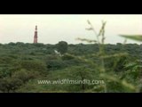 Qutub Minar : The world's tallest brick minaret