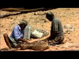 Fishermen putting fish into a basket for washing, in the beaches of Kanyakumari