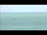 Fishermen out to fish in the Indian Ocean around the Andaman Islands