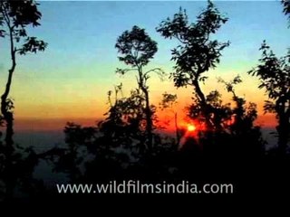 Beautiful sunset view