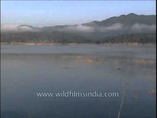 Scenic view of Ramganga river in Corbett National Park