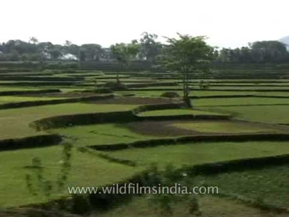 Fast moving Purushottam Express