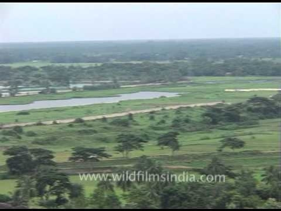 Daya river plains, Bhubaneswar