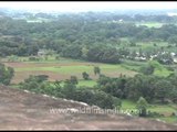 Lush green paddy fields at Kalinga land