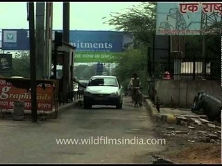 Toll Plaza in Gurgaon