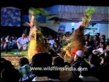 Audience watch as masked Padayani dance performers take the stage, Kerala