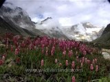 Clouds moving fast over mountains in the Western Himalayas of Garhwal, Uttaranchal in North India.