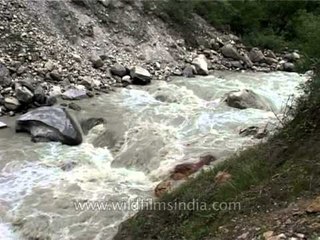 Need guts to cross this bridge over this gushing torrent