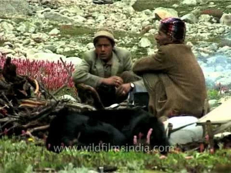 Beating the cold in Nanda Devi