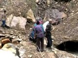 Men bringing tree branches to make bridge on their way to Nanda Devi