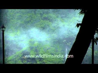 Wandering mist at the onset of monsoon near Jog Falls