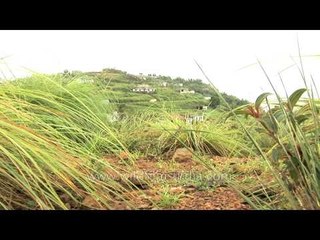 Panoramic view of Cherapunji