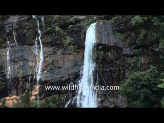Tallest waterfall in India: Jog falls