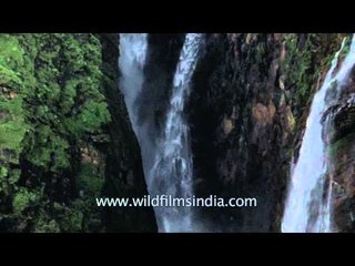 Jog Falls: The great waterfall