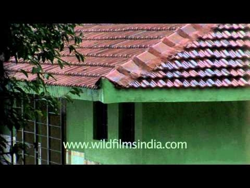 Raindrops keep falling on my head