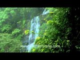 Jog falls: Highest plunge waterfall of India