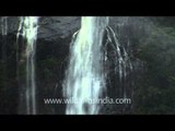 Wonderful spectacle of the Raja, Roarer & Rocket of Jog Falls cascading, Karnataka