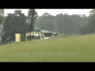 Finest Golf Link of India in Shillong, Meghalaya