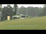 Finest Golf Link of India in Shillong, Meghalaya