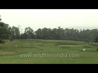 18 Hole Shillong Golf Course in Meghalaya, India