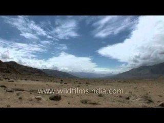 Ladakh: A paradise for traveller