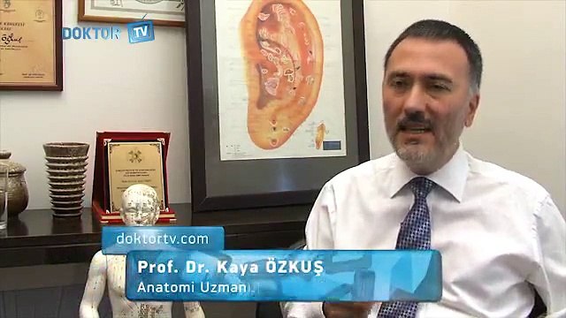 Sigarayı Bırakmak Neden Bu Kadar Zordur? - Fragman