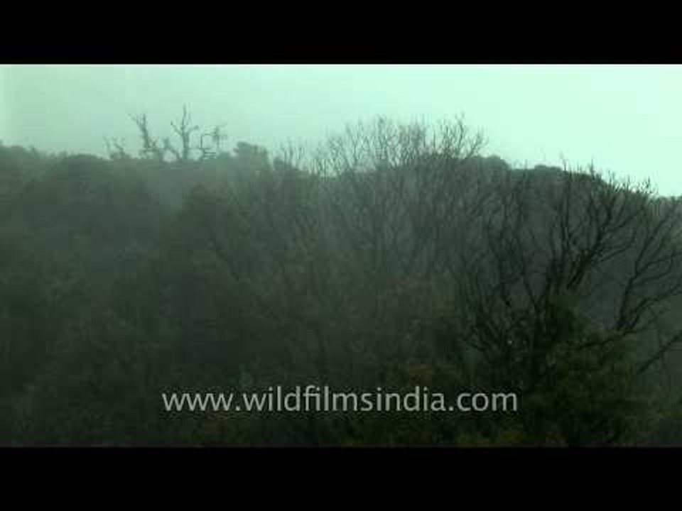 Rainy days are here again, Cherrapunji
