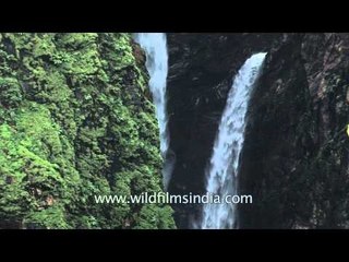 Jog falls: The second-highest plunge water in India