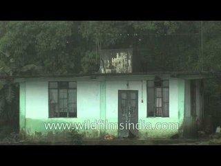 Vampire season in Shillong - People stay indoors when it rains