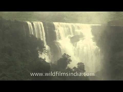 Waterfalls join rivers and flow to the sea : Meghalaya