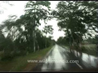 High speed driving on the roads of Orissa