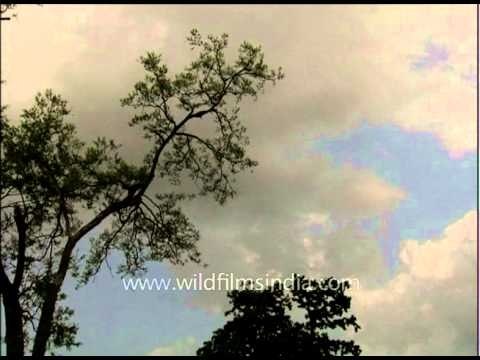 Time-lapse: Moving clouds