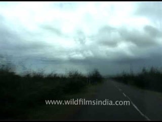 Road from Puri to Konark