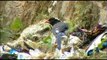 Red-billed Blue Magpie scavenges from garbage
