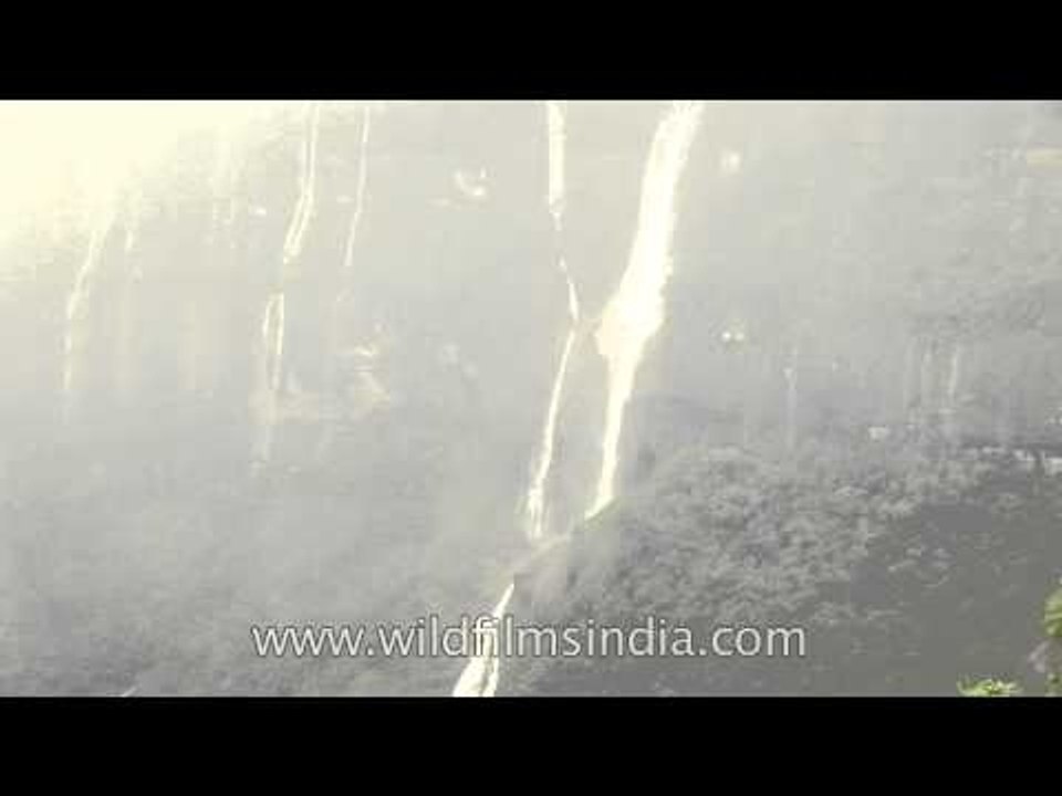 Majestic falls dot the landscape around Sohra's Eco Park, Cherrapunji