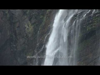 Jog Falls:  the second-highest plunge waterfall in India