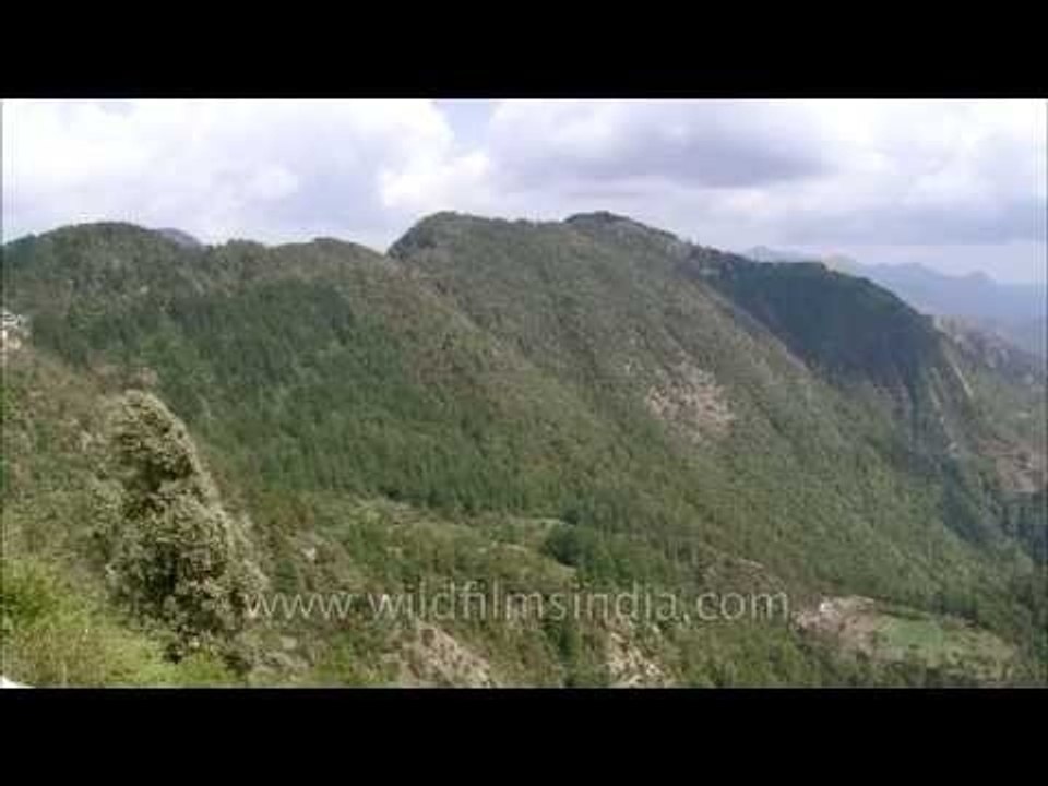 Mixed Oak, Rhododendron and deodar forests in the western Himalaya