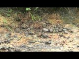 Raindrops draw patterns on the face of Cherrapunji