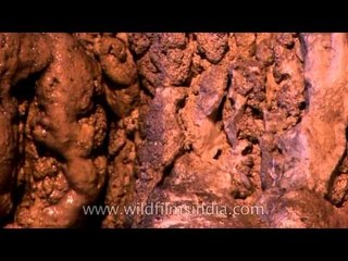Nature's art - limestone formations inside Mawsmai Caves, Meghalaya