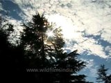 Clouds moving fast over mountains in the Western Himalayas of Garhwal