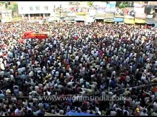 Crowds at Puri Ratha yatra : From afar, they look like so many ants!